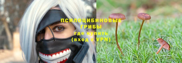 гашиш Пересвет