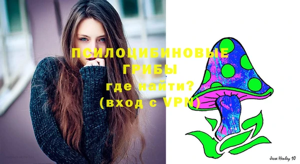 дурь Покачи
