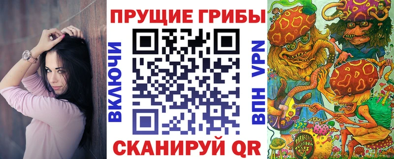 Псилоцибиновые грибы Magic Shrooms  Купить где  Новороссийск 